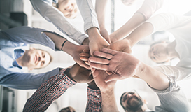 Culture Enhancement Service
